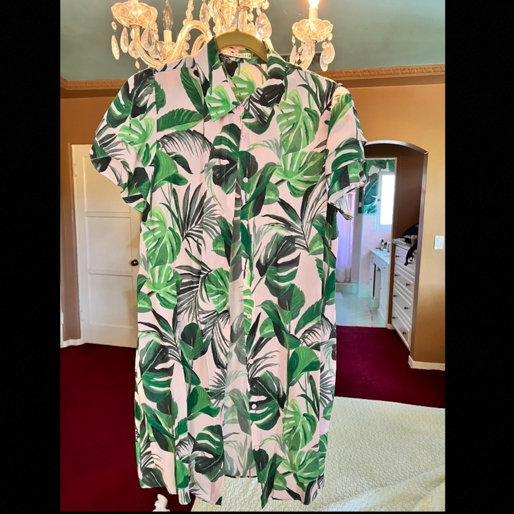 Shirt dress